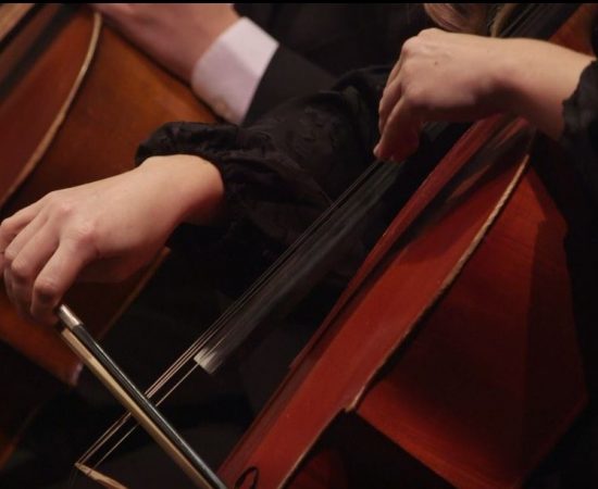 Cello close-up 1